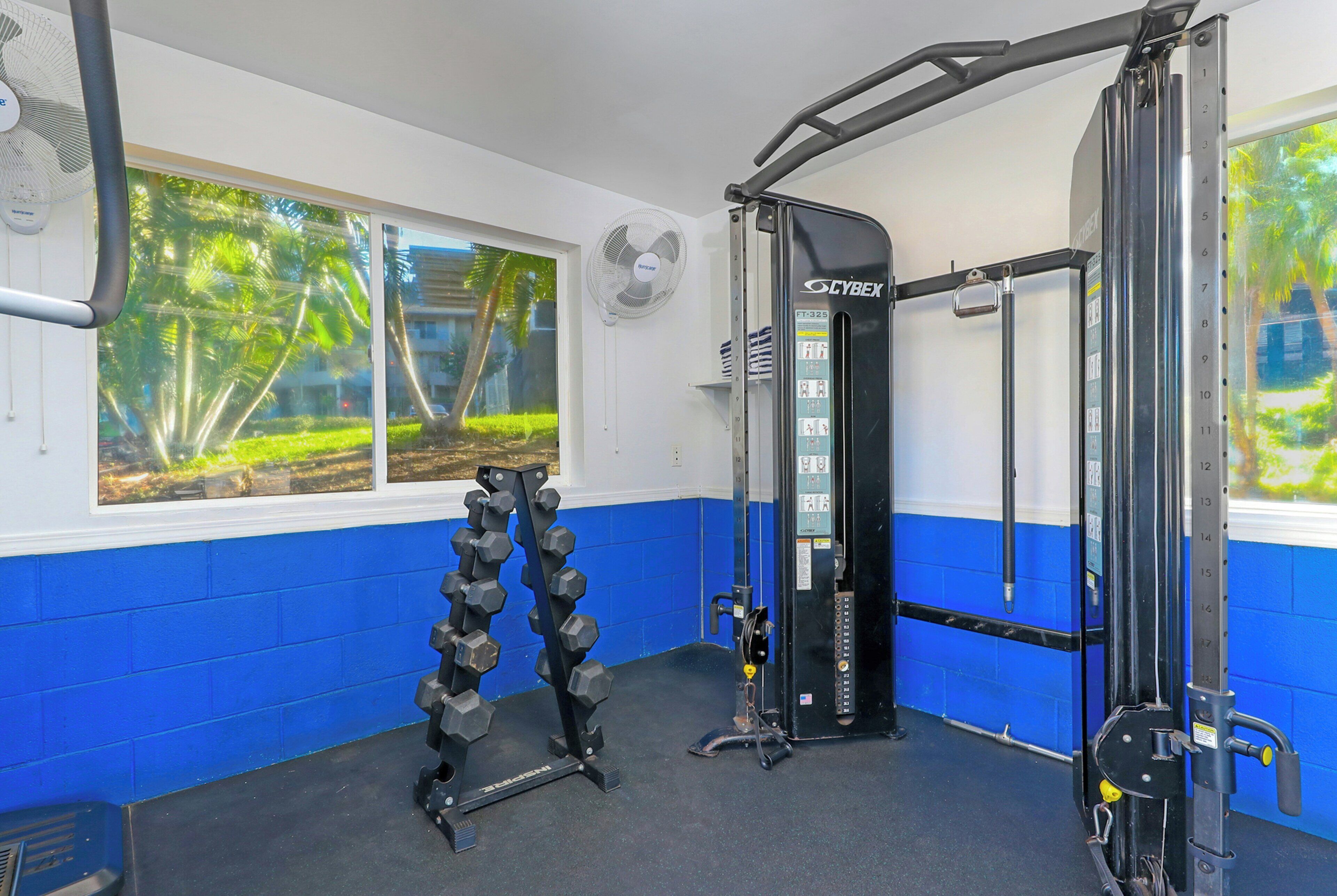 A gym with a Cybex machine, dumbbells, and a window with a view of greenery.