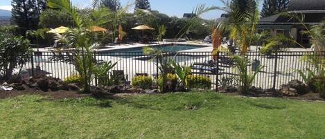 A swimming pool surrounded by a fence, with palm trees and a grassy area in the foreground.