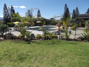 A swimming pool surrounded by a fence, with palm trees and a grassy area in the foreground. - Paniolo Greens At Waikoloa (Waikoloa)