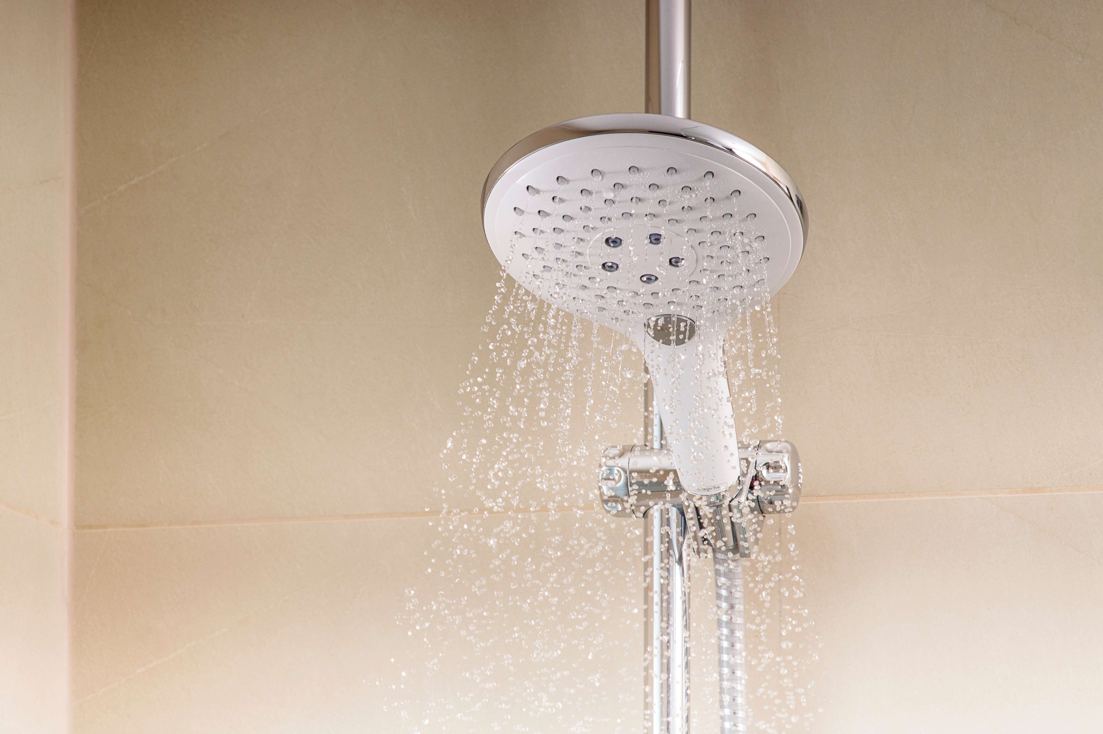 combined shower/bathtub, rainfall showerhead, eco-friendly toiletries