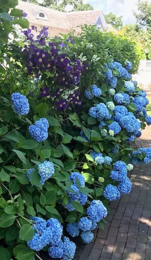 Garden - Queen Anne Inn (Chatham)