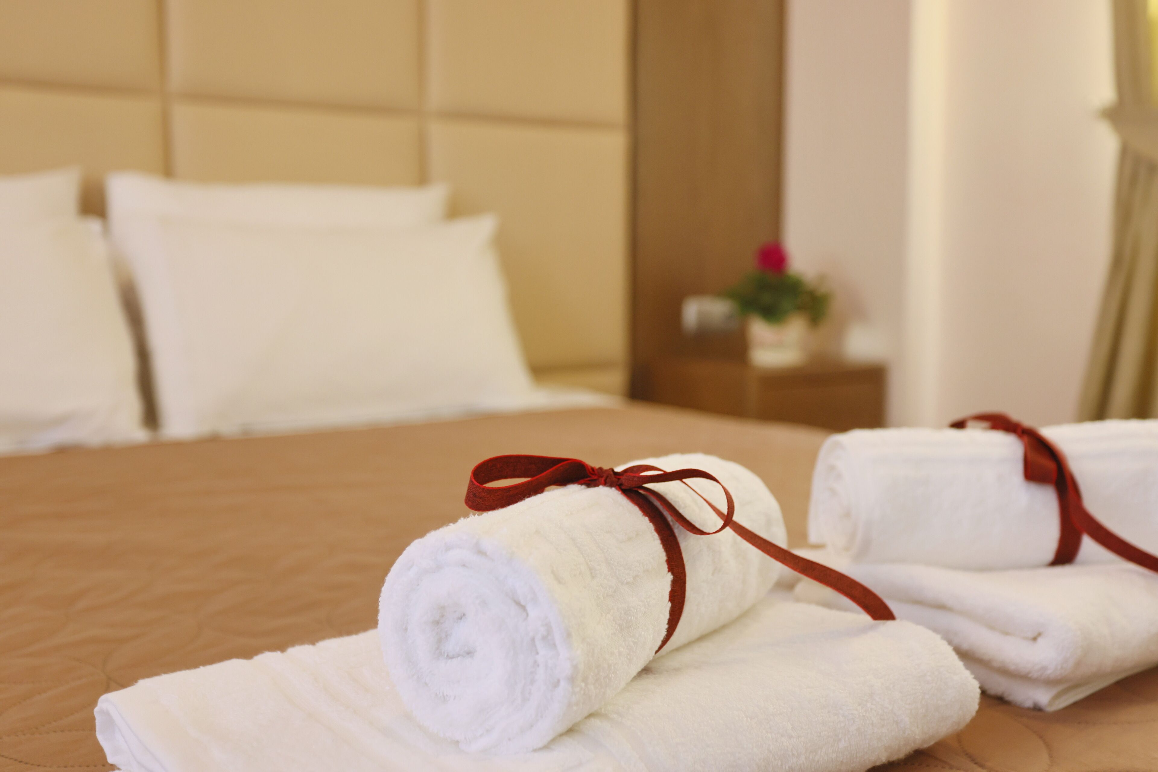 A neatly made bed with white towels and a red ribbon, a wooden headboard, and a small bedside table with a plant.