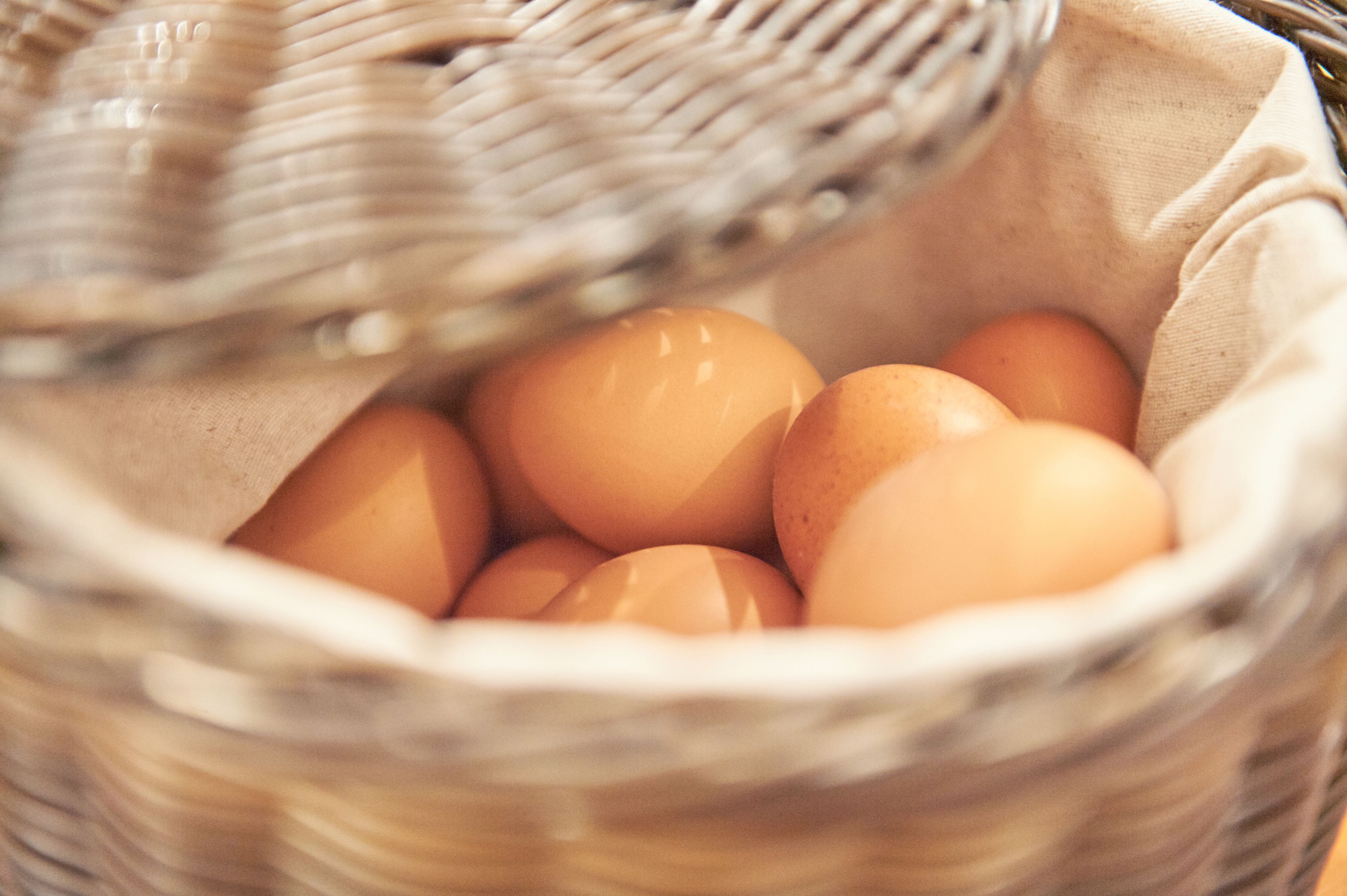 Foto - Insel-Hotel-Lindau