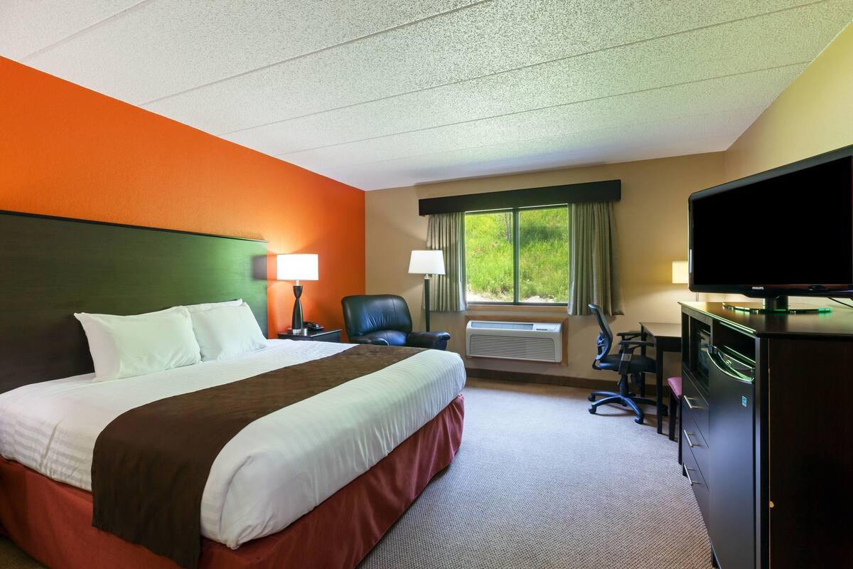 A hotel room with a large bed, a desk with a computer, a TV, and a window with a view of greenery.