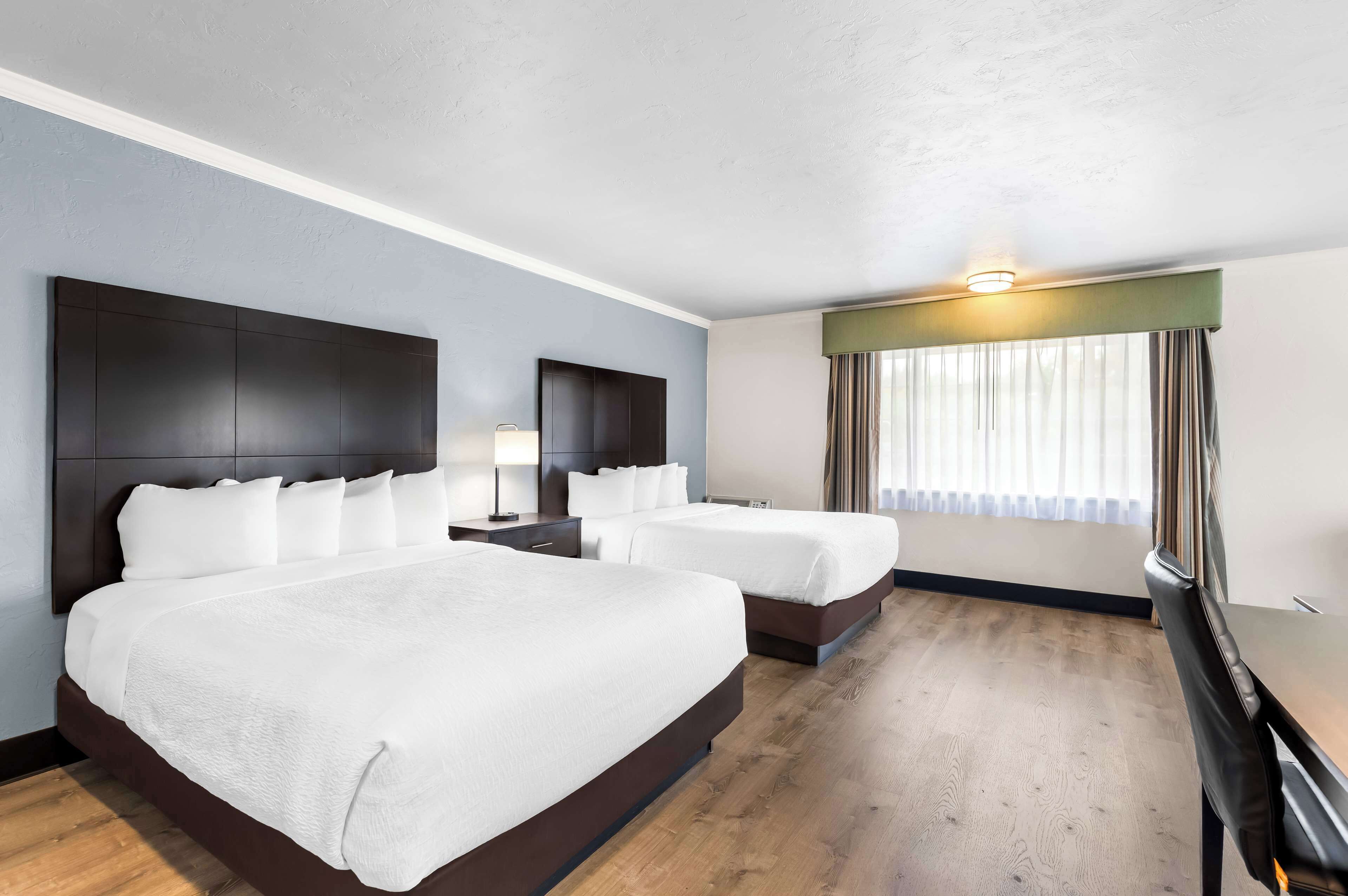 standard room, 2 queen beds, non smoking, refrigerator & microwave (with single sofabed;larger room) | premium bedding, desk, laptop workspace, iron/ironing board