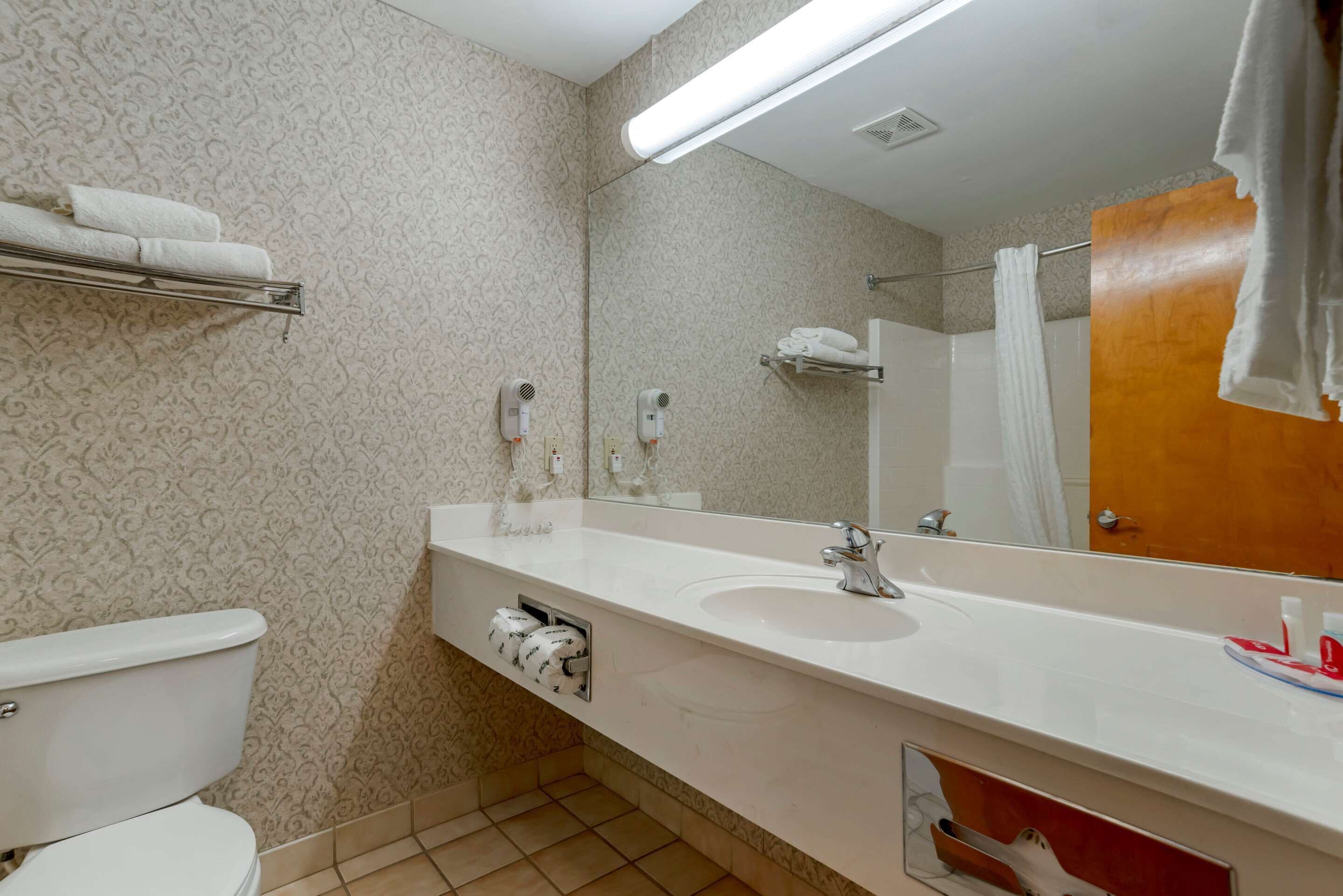 A bathroom with a toilet, a sink, a mirror, and two hair dryers.