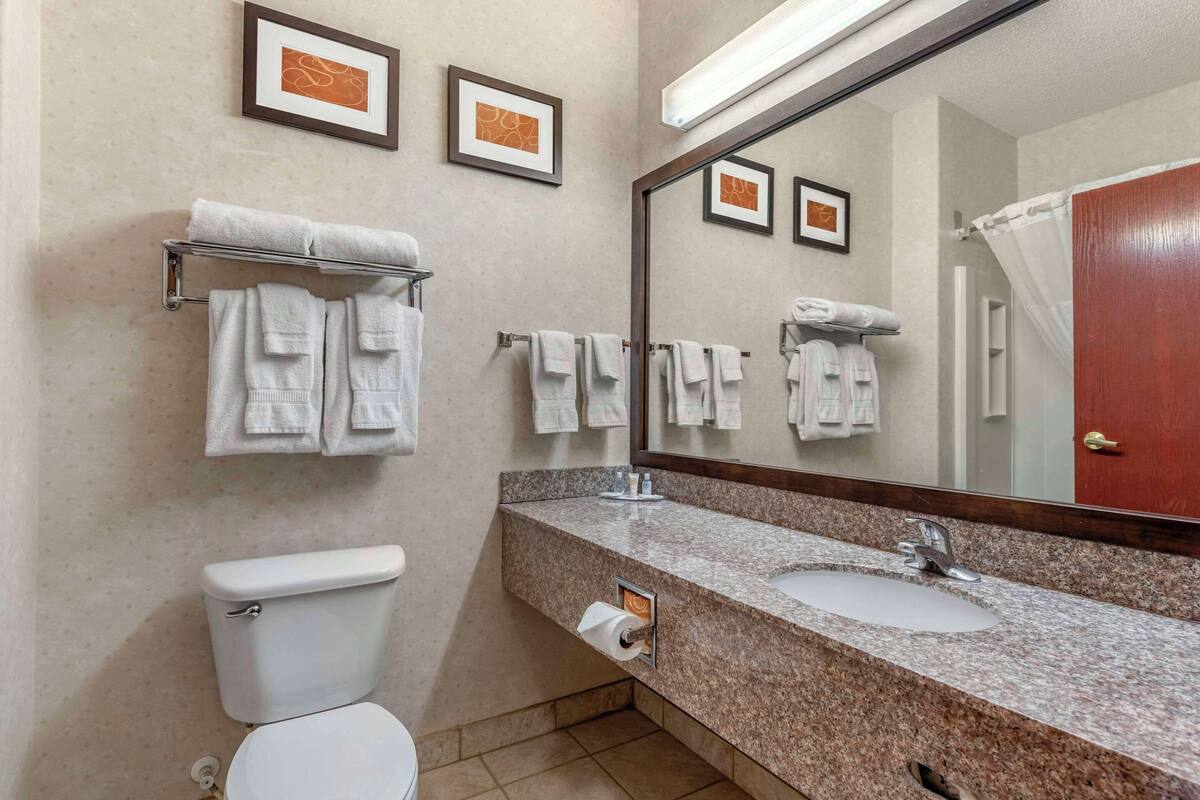 Un baño con inodoro, lavabo y dos cuadros en la pared.