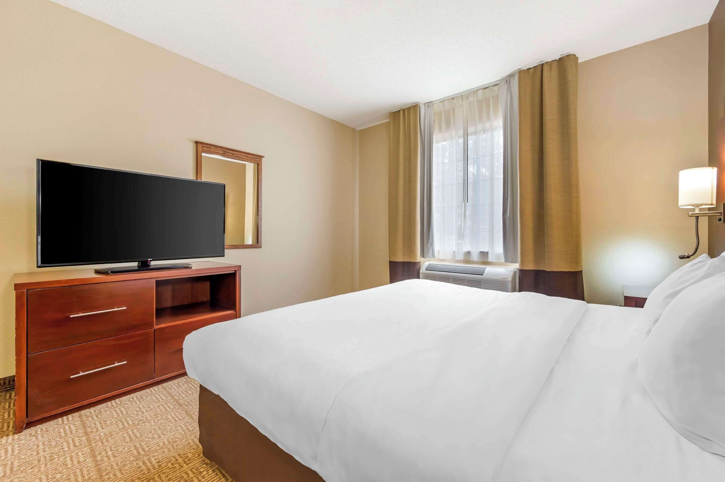 suite, 1 king bed with sofa bed, non smoking (pet friendly) | premium bedding, desk, laptop workspace, iron/ironing board