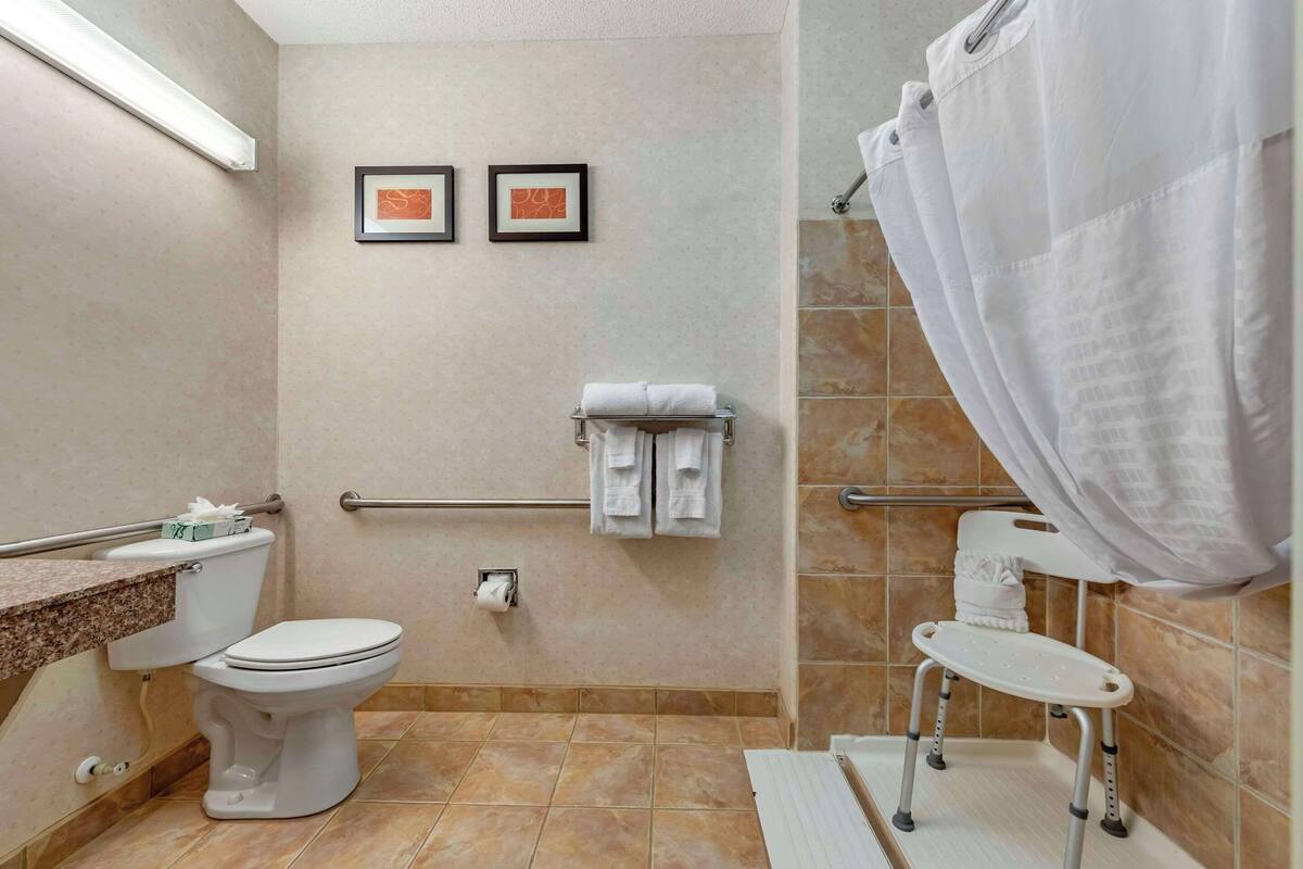 Un baño con inodoro, ducha con cortina blanca, barra de apoyo y dos cuadros en la pared.