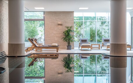 A modern indoor relaxation area with lounge chairs, a large potted plant, and large windows offering a view of greenery.