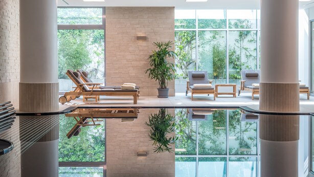 Un espace de détente intérieur moderne, doté de fauteuils confortables, d’une grande plante en pot et de larges fenêtres offrant une vue sur la verdure.