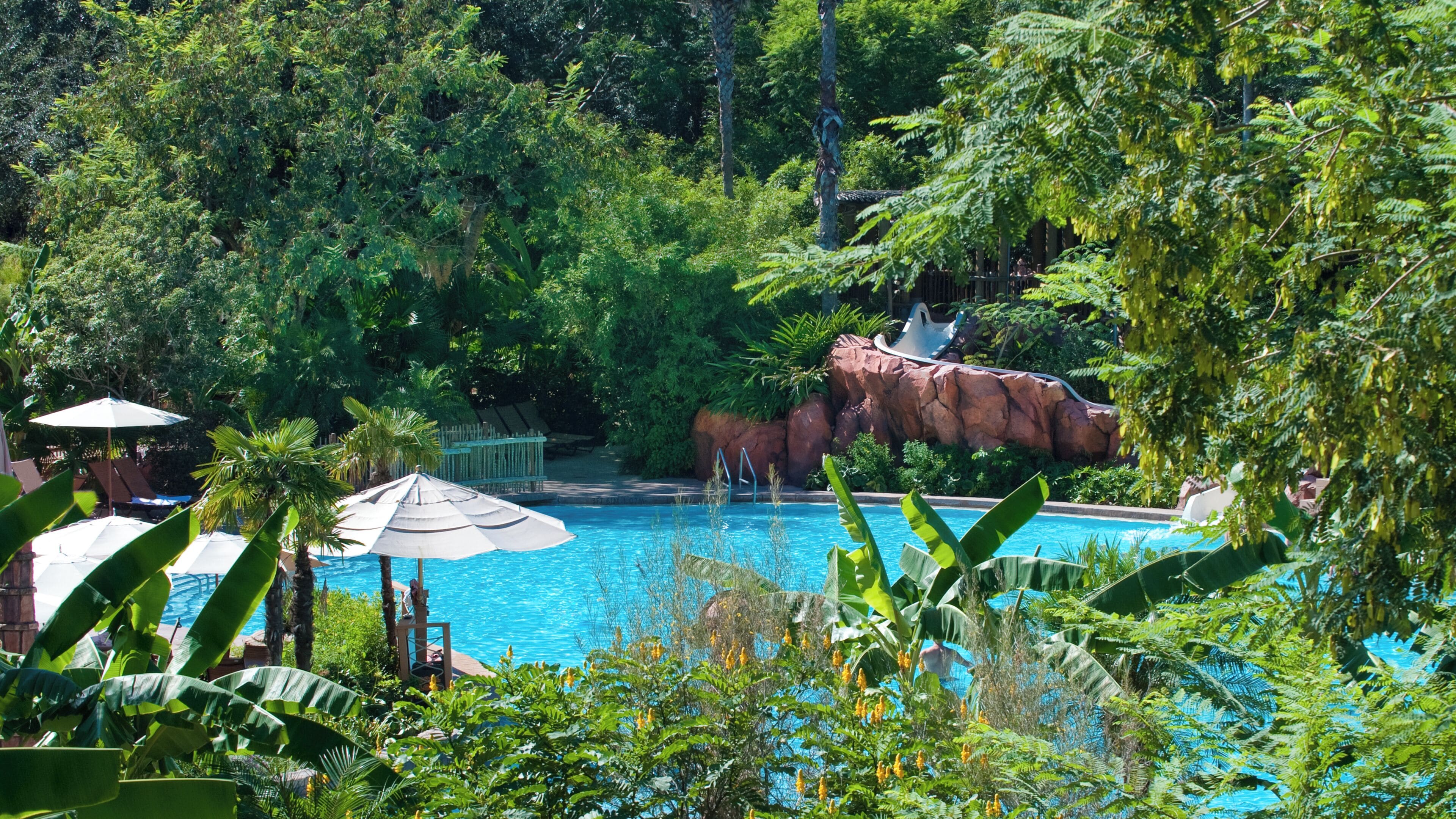 A pool surrounded by lush greenery and a rock formation.