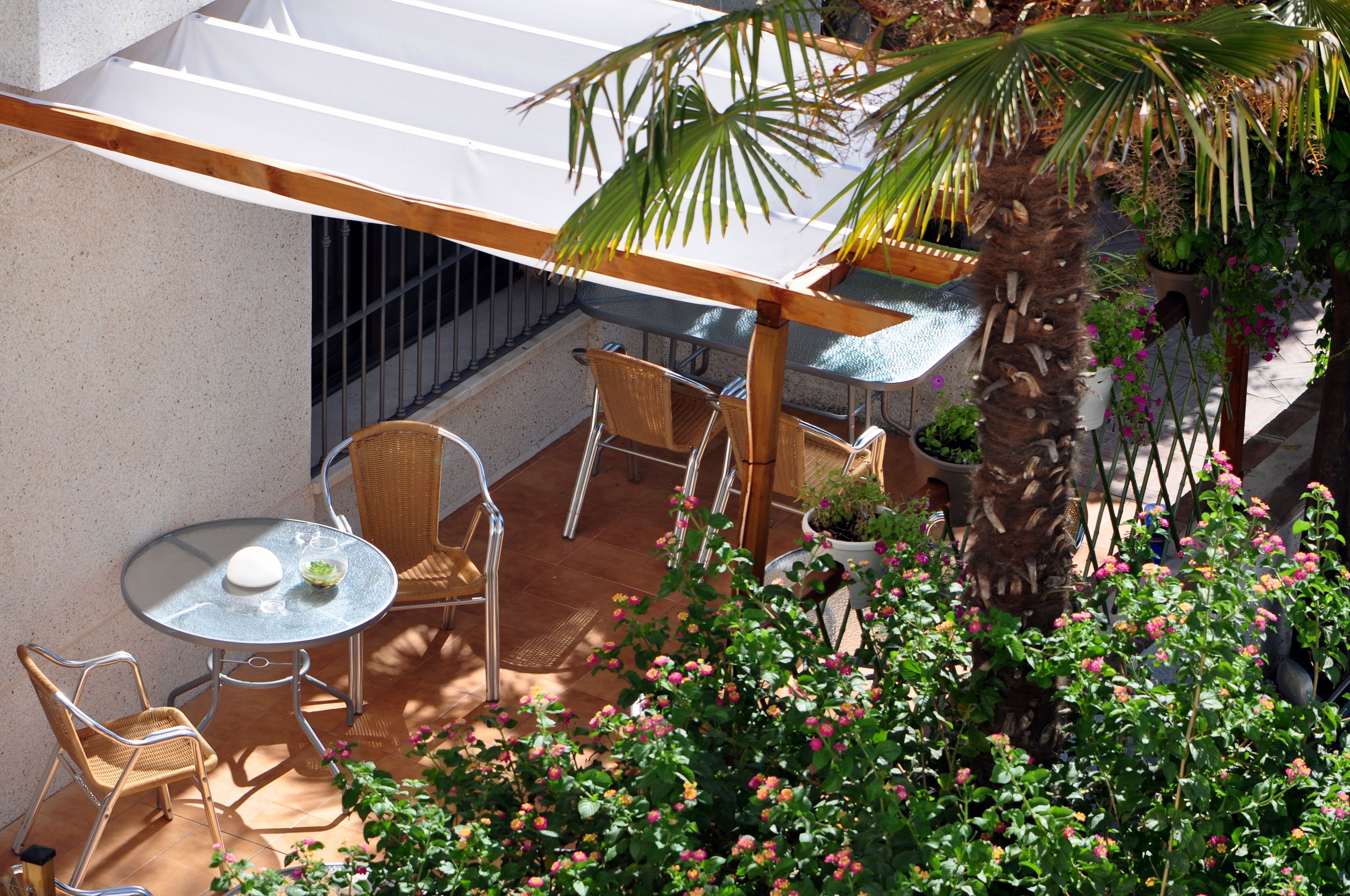 Foto - Hotel Oasis