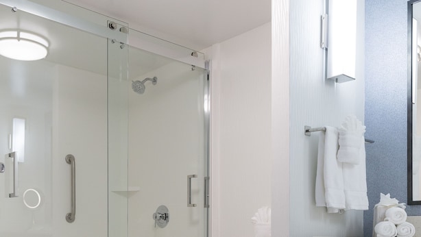 A modern bathroom with a glass shower enclosure, a toilet, and a vanity with a mirror and towel rack. - Hilton Garden Inn Atlanta Northpoint (Alpharetta)