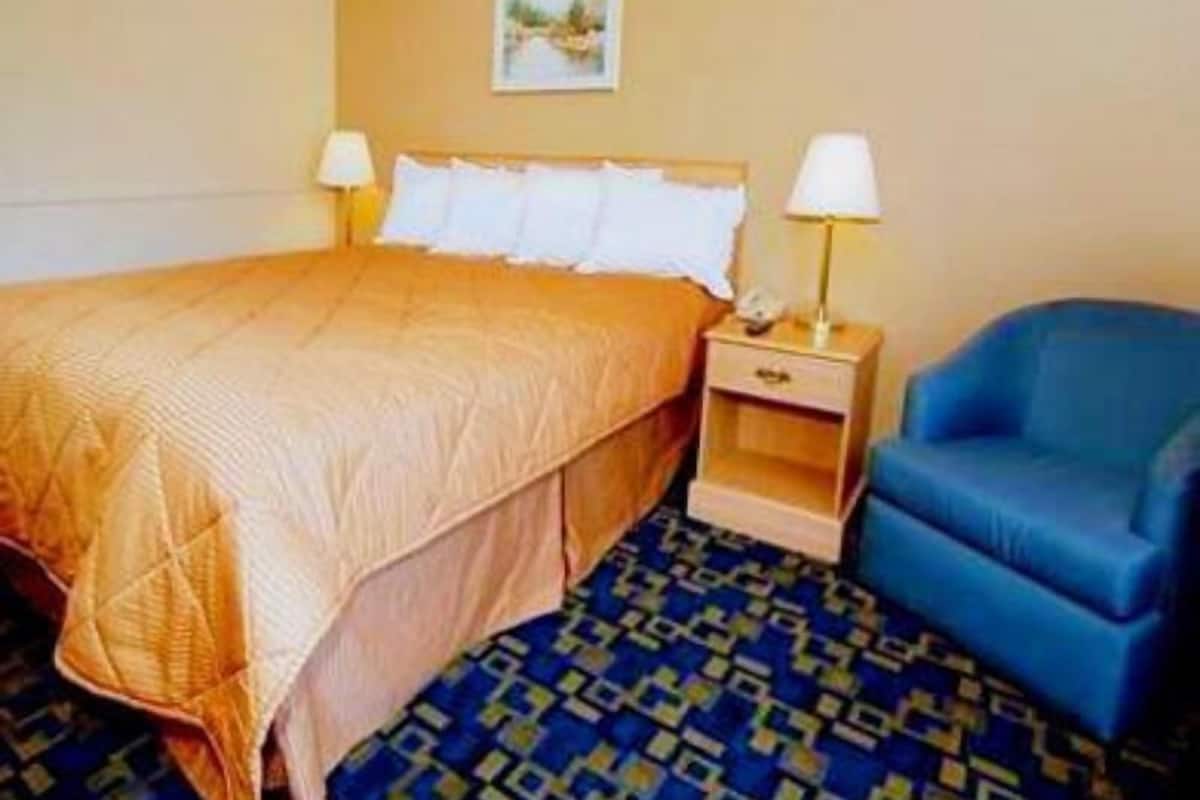 Blackout curtains, iron/ironing board, free cots/infant beds