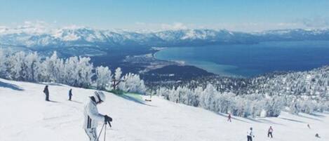 A snowy landscape with a clear view of a lake and mountains in the distance.