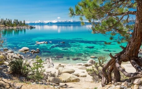 A clear lake with visible rocks and trees.