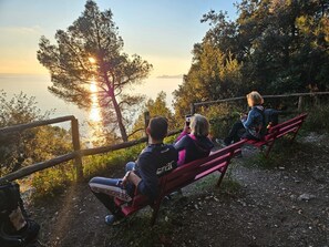 Sit and enjoy the tranquil view from this serene outdoor space overlooking the water.