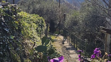 Hiking