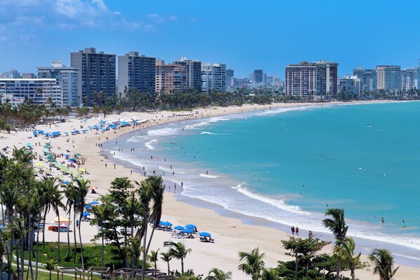 Enjoy the serene beach scene with umbrellas and lounge chairs, overlooking the calm ocean and bustling city skyline.