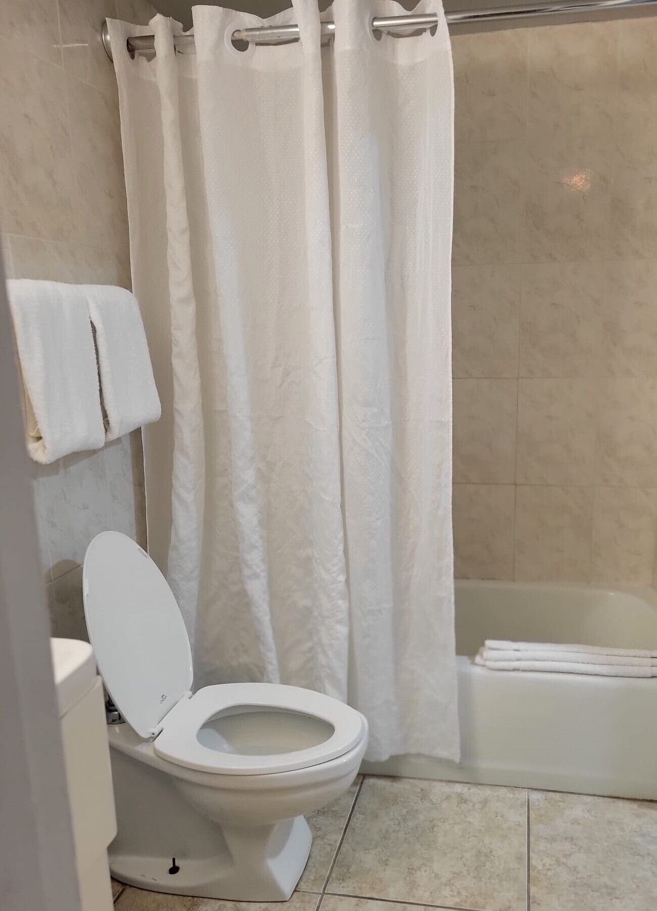 Een badkamer met toilet, bad en douchegordijn.