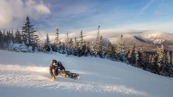 A snowboarder on a snowy slope with evergreen trees and a clear sky.