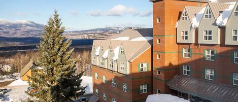 A multi-story building with a brick facade and green window frames, surrounded by snow-covered ground and a coniferous tree.