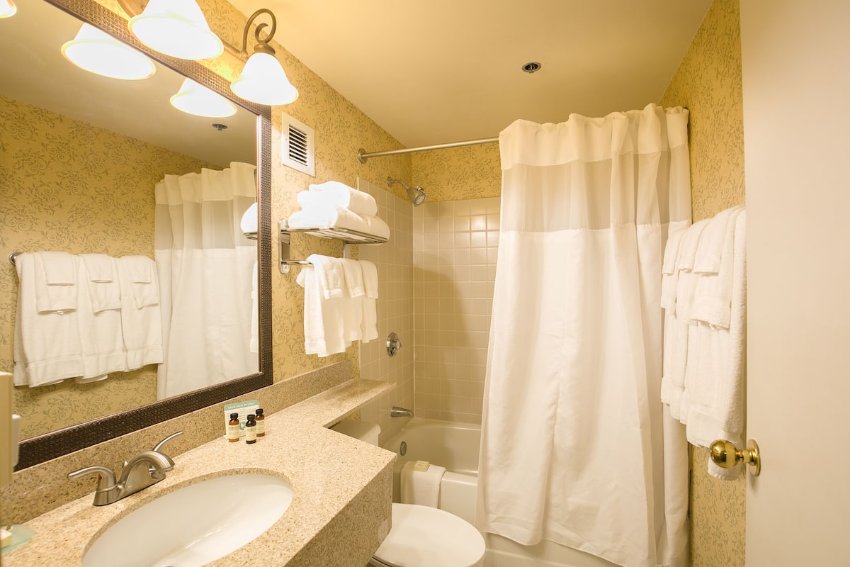 combined shower/bathtub, hair dryer, towels