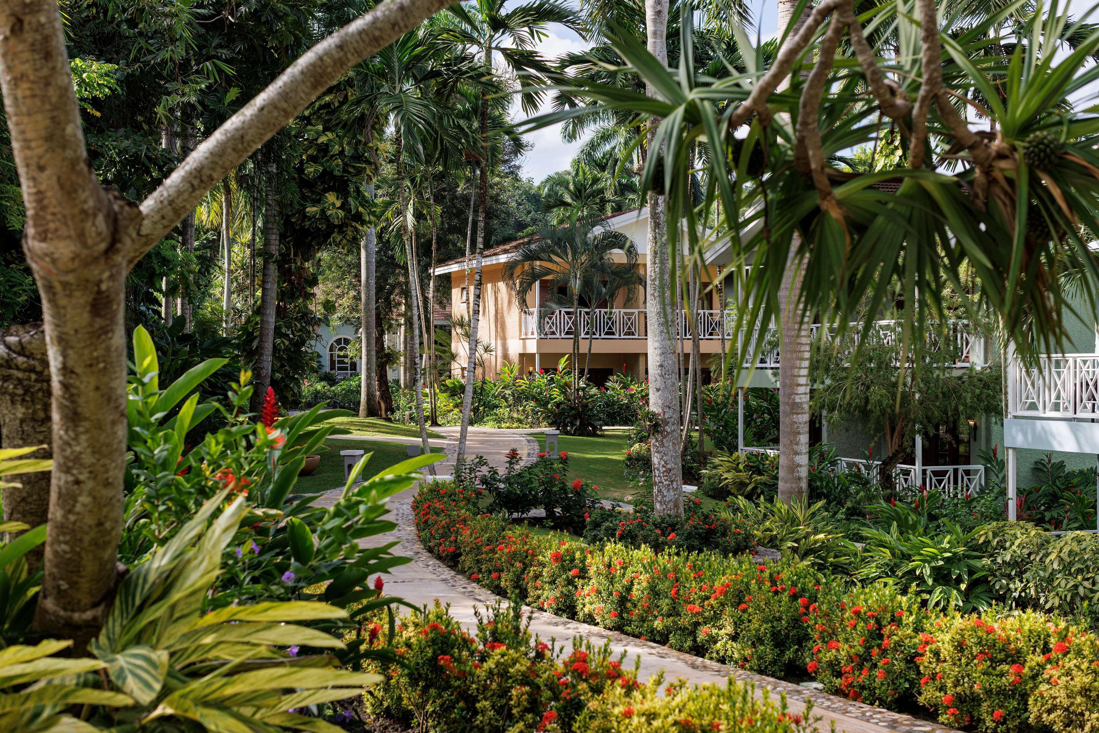 A tropical resort with a lush garden, palm trees, and a building with balconies.