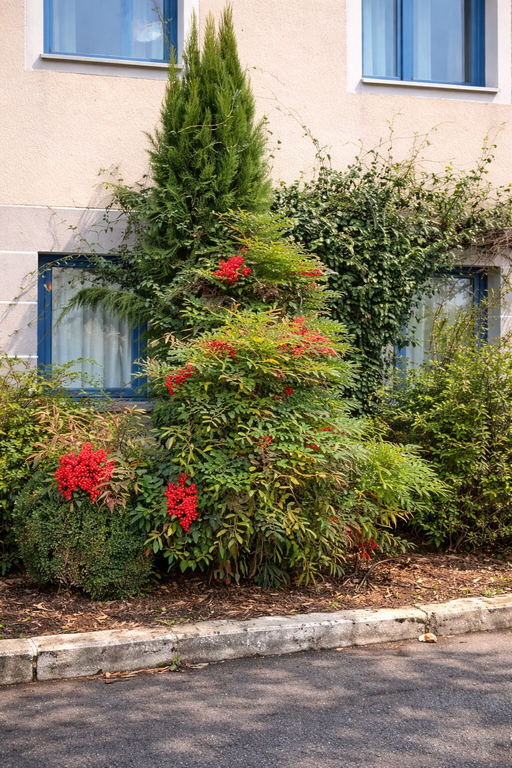 A well-maintained garden with various shrubs and flowering plants in front of a building with a beige facade and blue-framed windows.