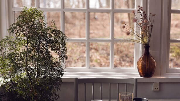 A breakfast table with a newspaper, croissant, and juice glass, a potted plant, and a vase with dried flowers by a window. - Arnbjerg Pavillonen (Varde)
