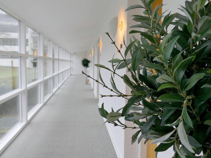 Un pasillo con paredes de vidrio, una planta y un accesorio de iluminación.