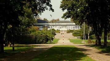 A pathway leading to a building surrounded by trees and grass.