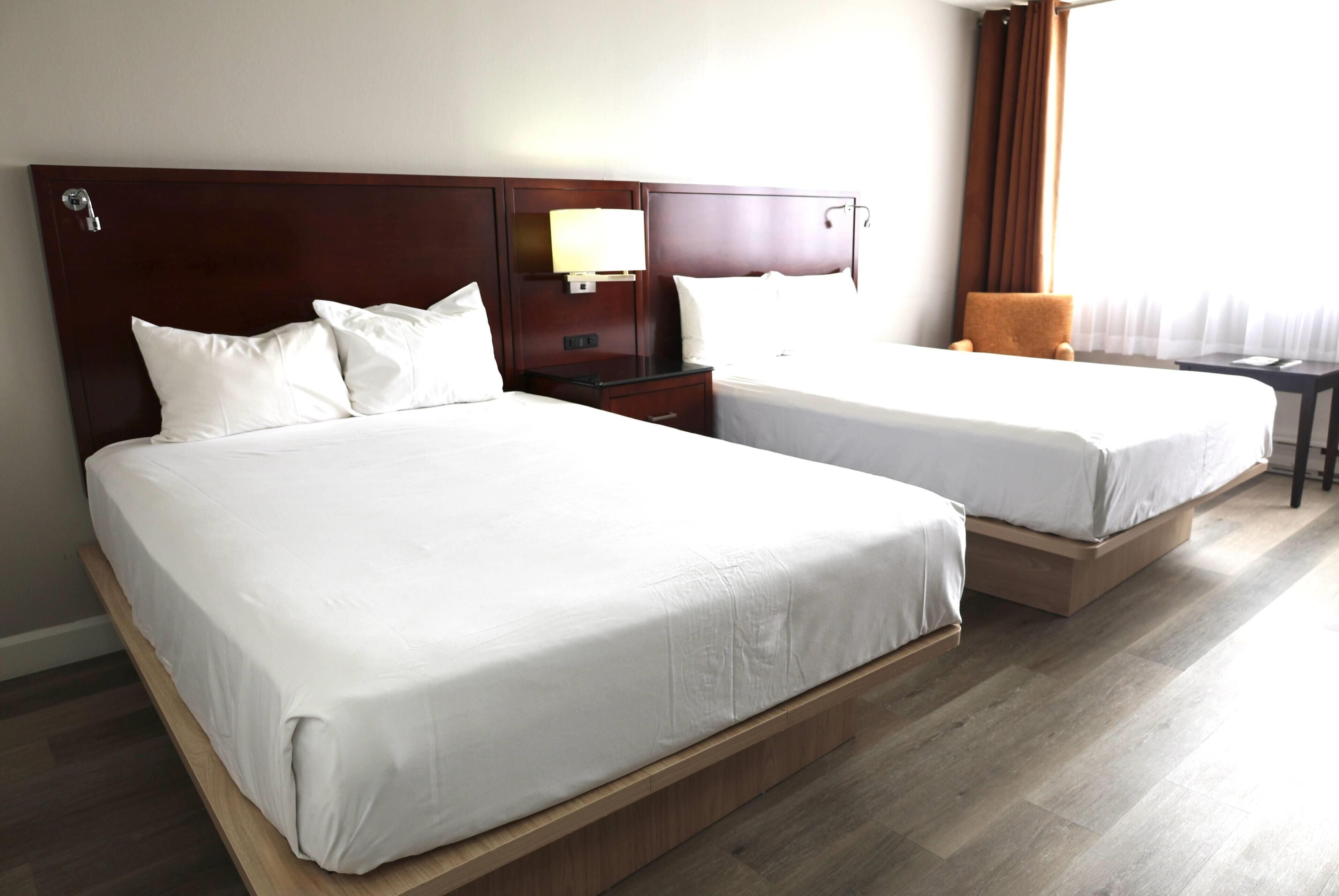 Room, 2 Queen Beds (Distinction) | Hypo-allergenic bedding, desk, laptop workspace, iron/ironing board