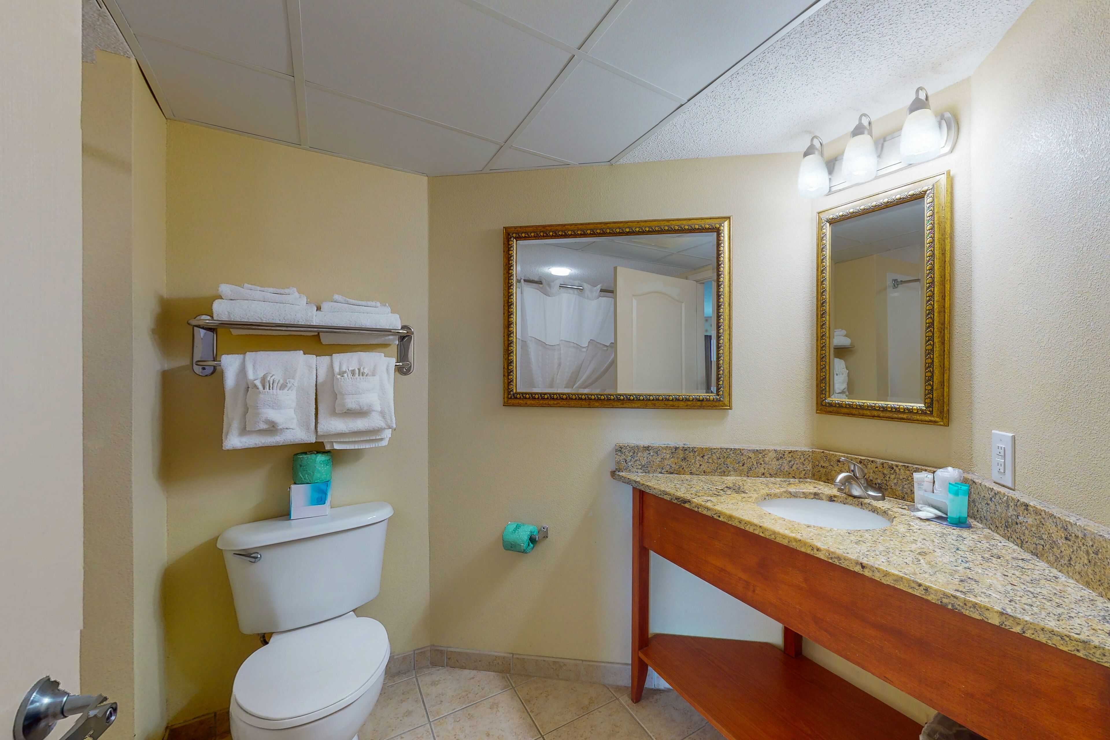 Une salle de bain avec des toilettes, un lavabo et un miroir. On peut voir des serviettes sur un porte-serviettes et un rideau de douche dans le reflet du miroir.