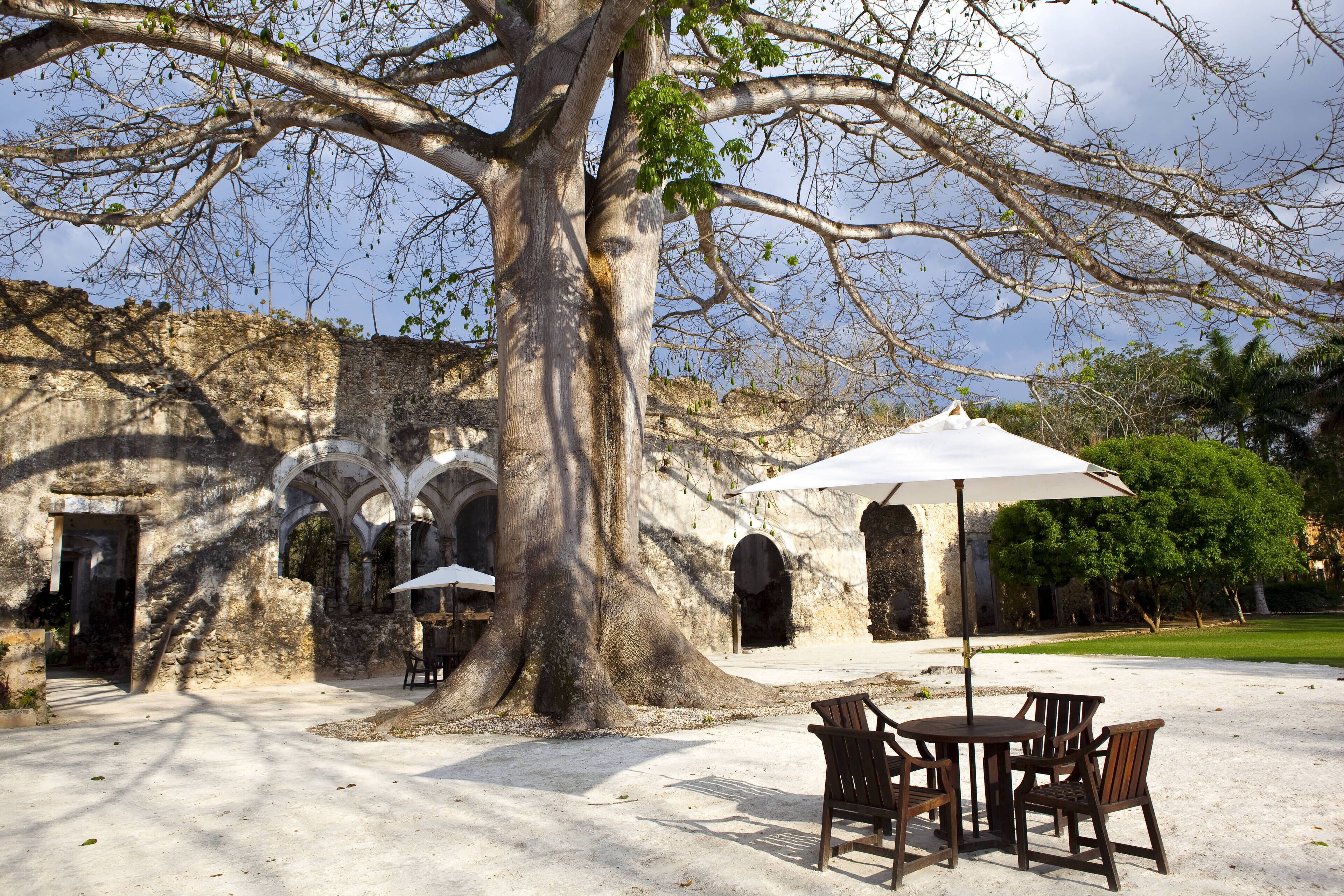 outdoor banquet area