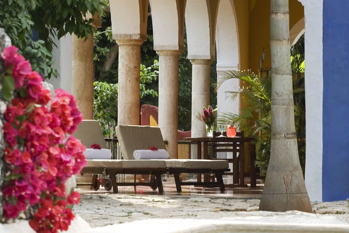 A poolside area with lounge chairs, umbrellas, and a palm tree.