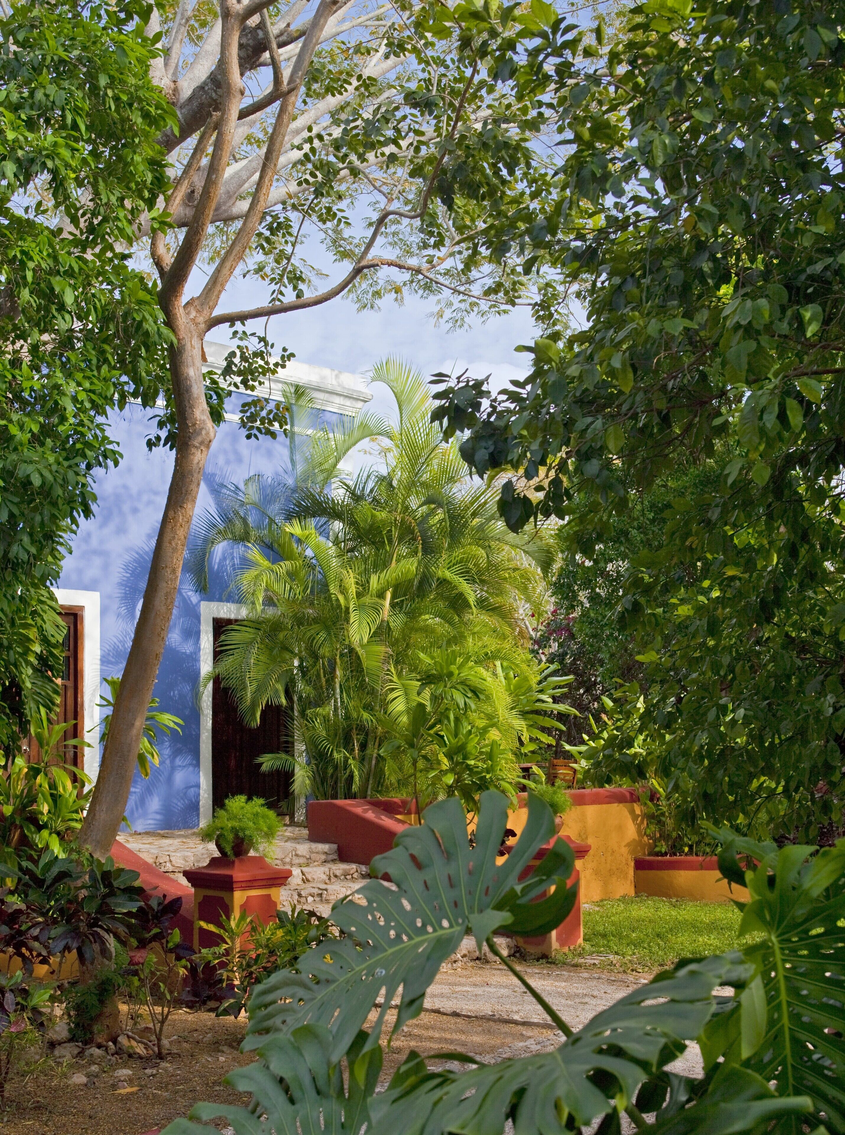 A courtyard with a blue building, surrounded by lush greenery and palm trees.