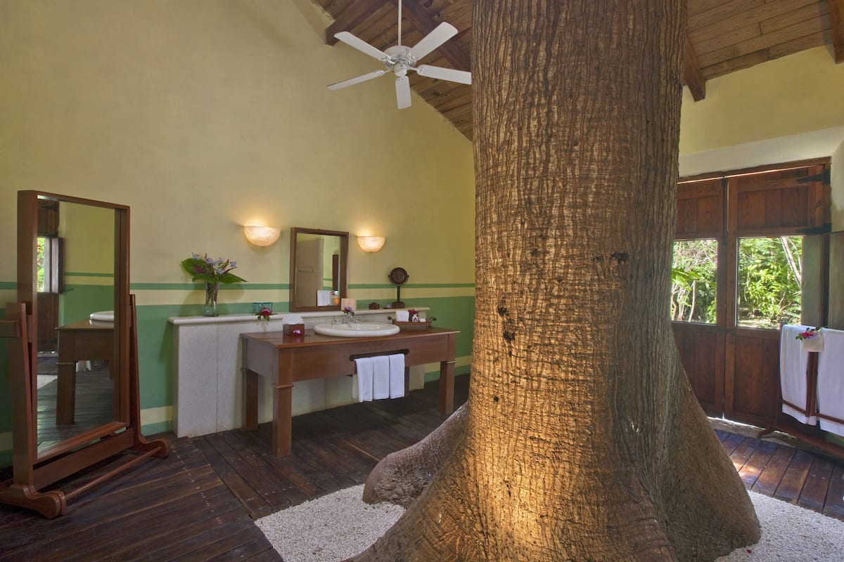 A bathroom with a large tree trunk centerpiece, wooden vanity, dual sinks, and a ceiling fan.