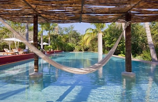 Un área de piscina con una hamaca, sillas de descanso y palmeras.