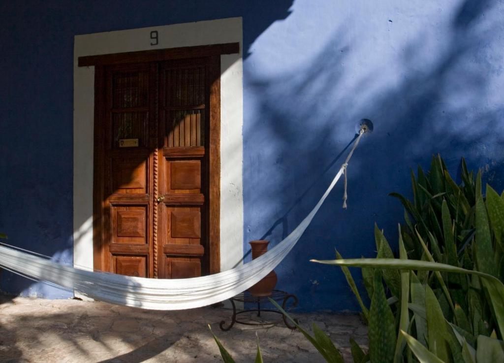Una hamaca atada entre una puerta de madera y una pared, con una planta en maceta cerca.