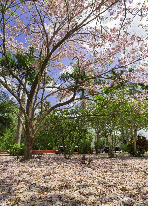 Un parque arbolado con un sendero de piedra y bancos.