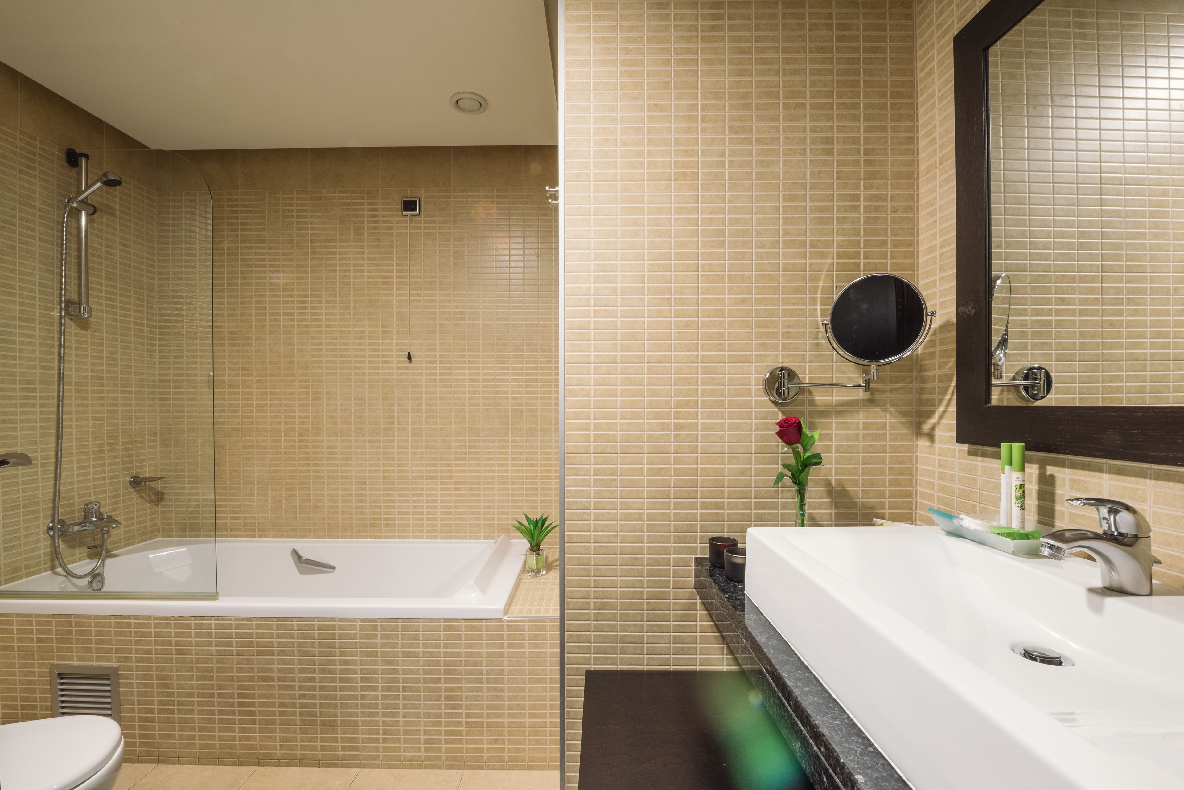 combined shower/bathtub, free toiletries, hair dryer, bathrobes