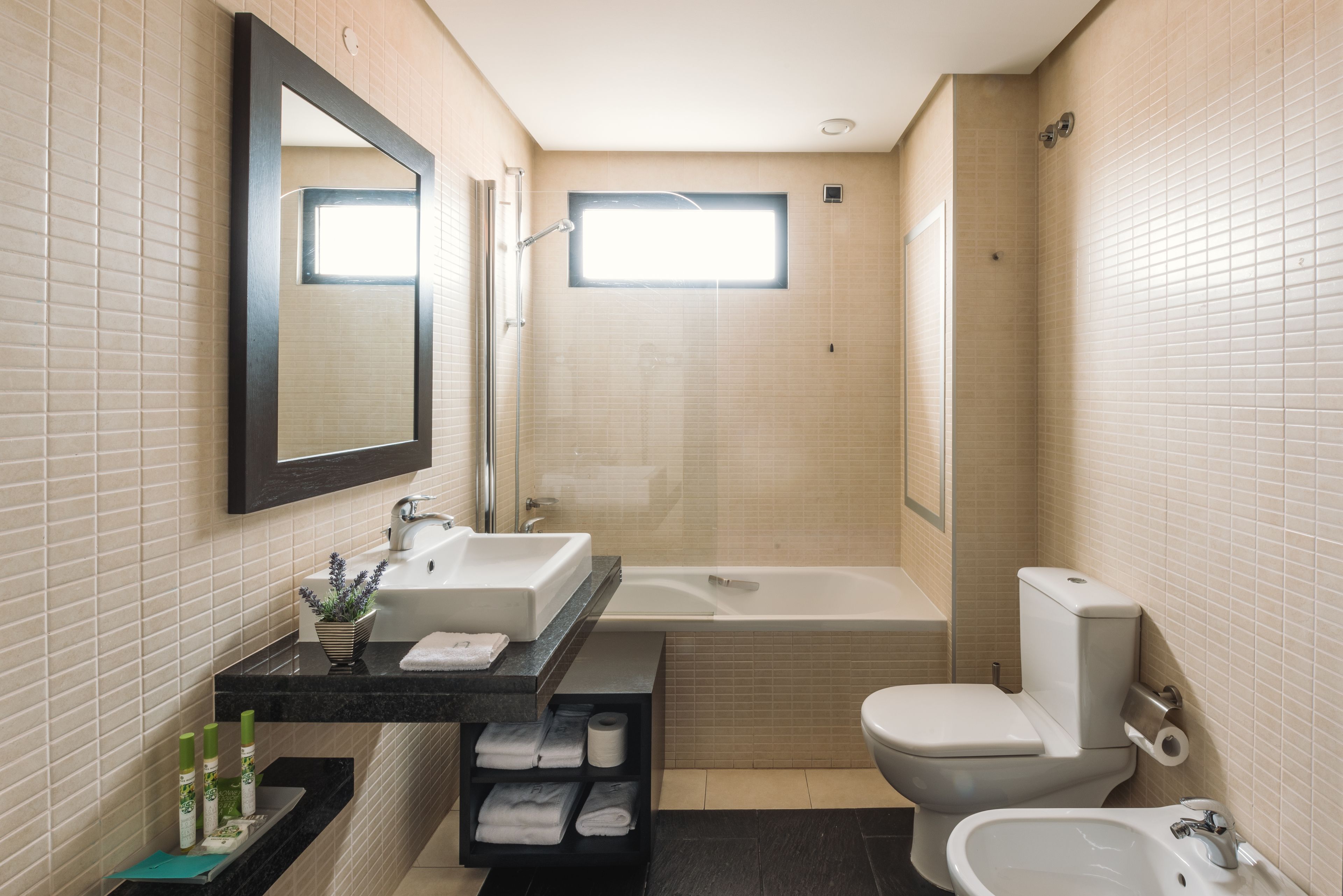 combined shower/bathtub, free toiletries, hair dryer, bathrobes