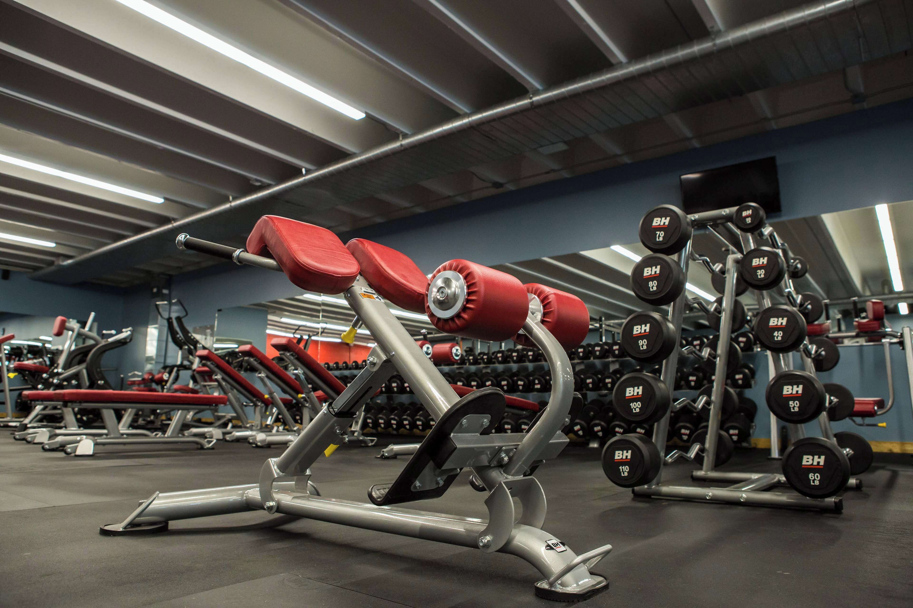 Un gimnasio con varios equipos de ejercicio, incluyendo mancuernas y máquinas de pesas.