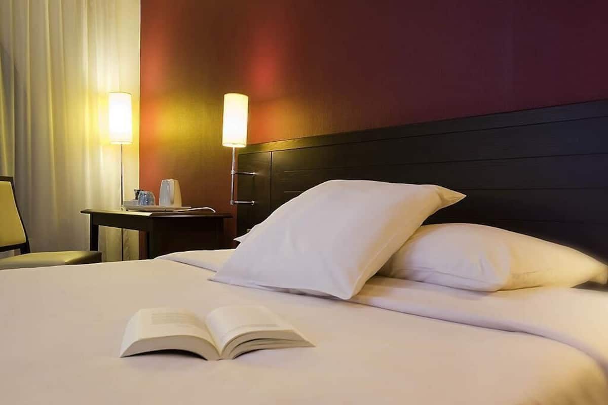 Standard Double Room, 1 Double Bed | Desk, soundproofing, iron/ironing board, free WiFi