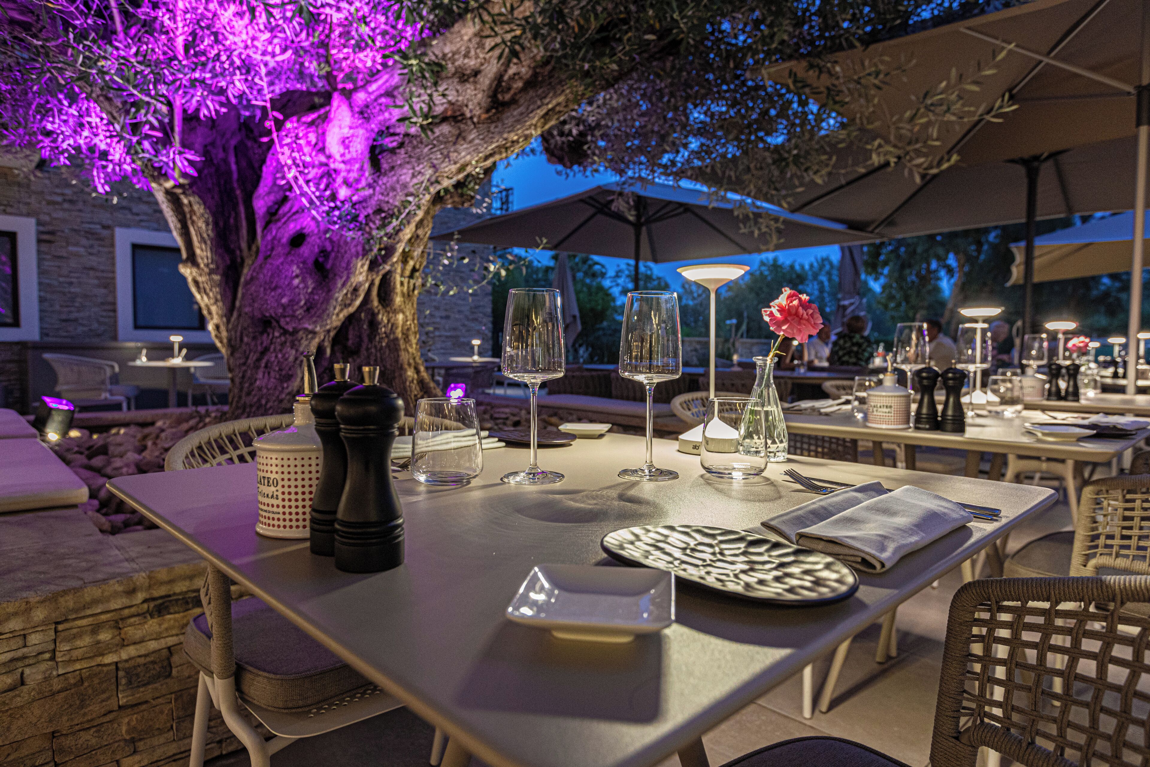 Un espacio de comedor al aire libre con mesas, sillas y un árbol con flores moradas.