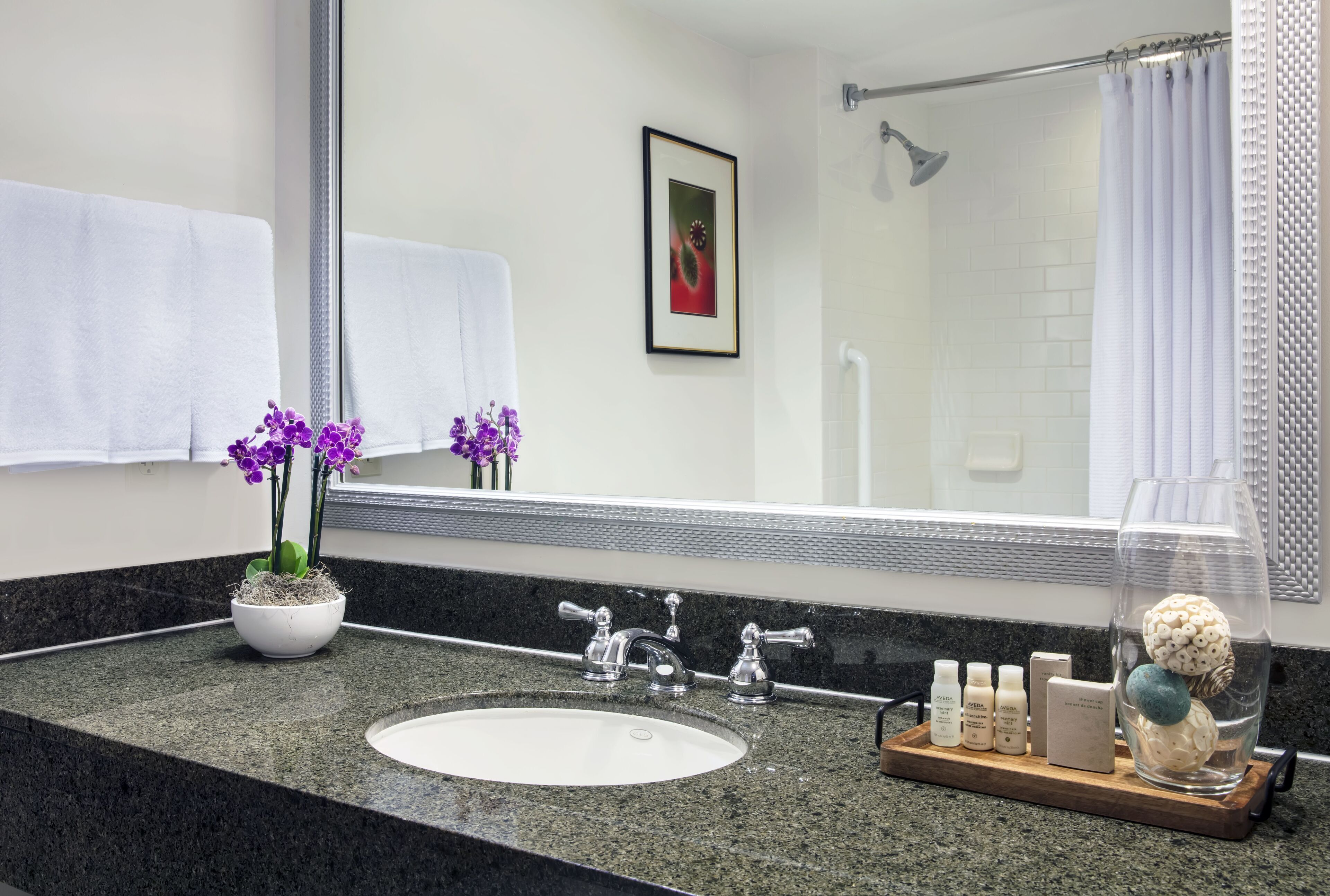 combined shower/bathtub, free toiletries, hair dryer, towels