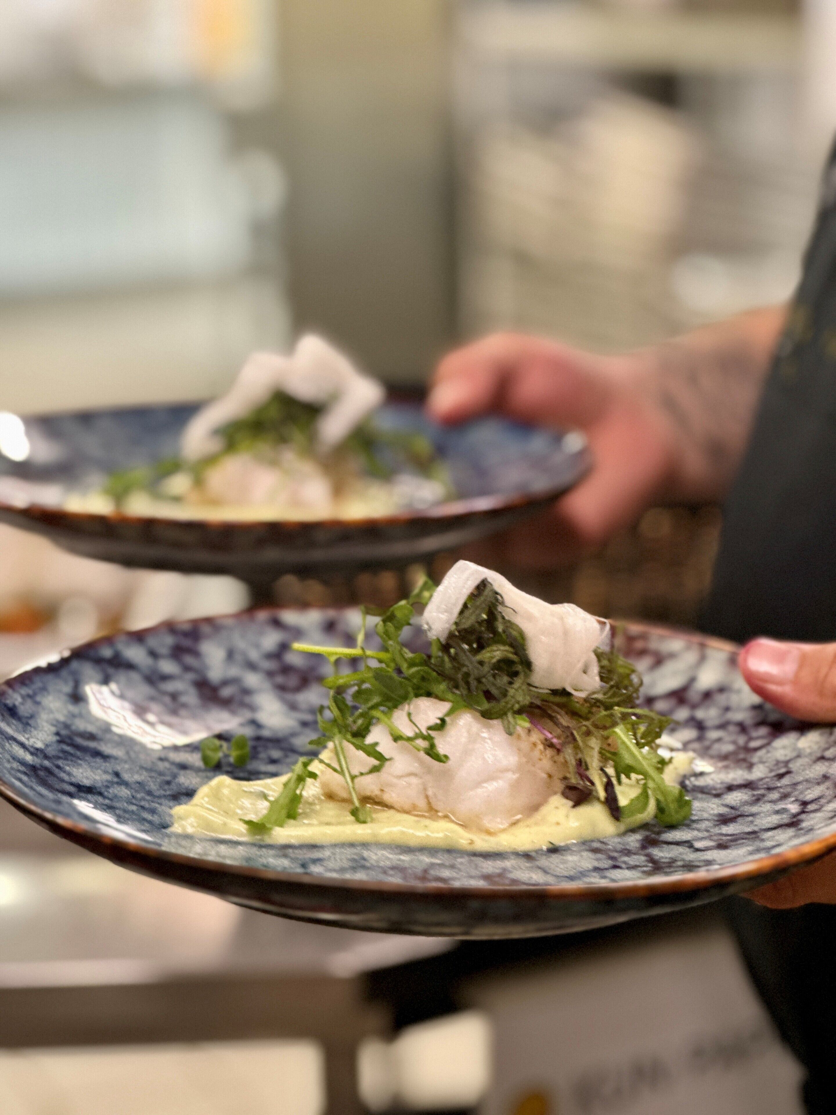 Eine Person hält einen Teller mit einem weißen Fischgericht, garniert mit Salat.