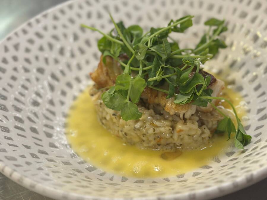 Une assiette contenant un plat à base de céréales, garni de légumes verts et nappé d’une sauce jaune. L’assiette a un bord blanc texturé.